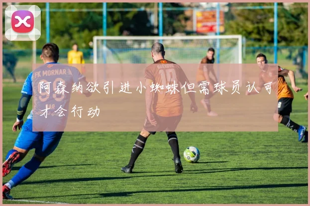 阿森纳欲引进小蜘蛛但需球员认可才会行动
